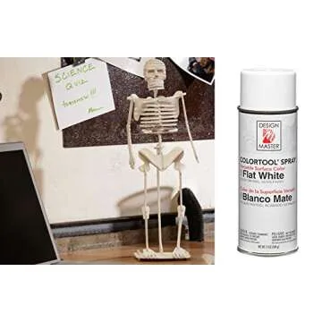 Design Master Spray, Flat White, 12 oz