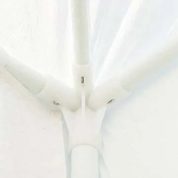 10'x30' Outdoor Party Tent for Weddings and Celebrations