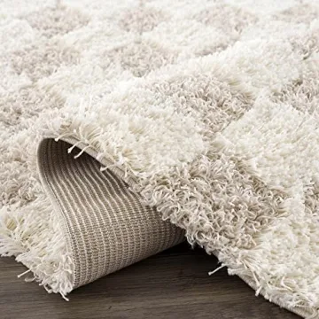 Hauteloom Atira Checkered Shag Area Rug for Comfort
