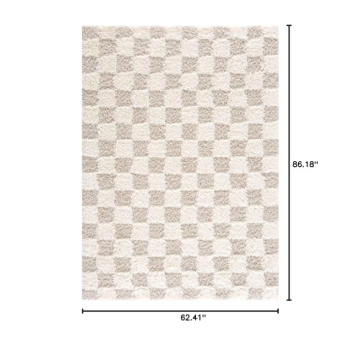 Hauteloom Atira Checkered Shag Area Rug for Comfort