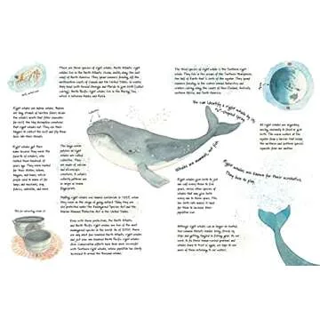 Welcome Home, Whales: A Story of Friendship and Conservation