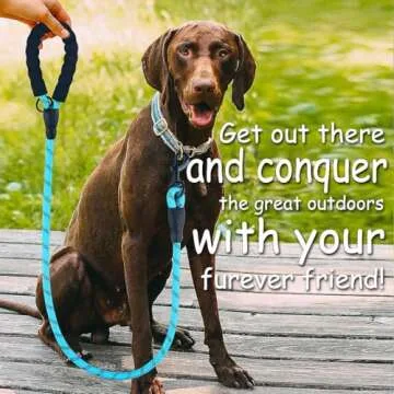 Durable DOYOO Dog Leash Set - Comfortable & Reflective