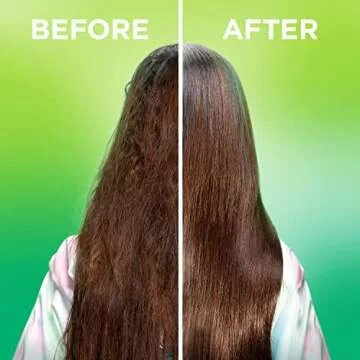 Garnier Fructis Sleek & Shine Moroccan Sleek Smoothing Oil for Frizzy, Dry Hair, Argan Oil, 3.75 Fl Oz, 2 Count (Packaging May Vary)