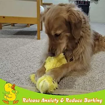 EXPAWLORER Plush Squeaky Duck Dog Toy - 14" Large Stuffed Soft Cute Duck, Best Birthday Gift Interactive Filled Chew Toys for Small Medium Large Dogs Puppy Biting Training Teething, Yellow