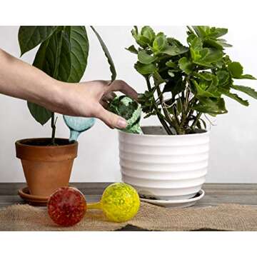 Besti Large Self Watering Globes for Plants (6-Pack) Waters Greenery Up to 2 Weeks Hands Free | Dura...