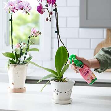 Miracle-Gro Ready to Use Orchid Plant Food Mist, Feeds All Types of Indoor Orchid Plants, 8 oz.