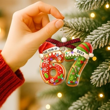 67 Ornament Trendy Meme Christmas Gift for Kids & Teens