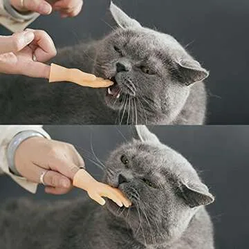 Interactive Pet Massage Gloves for Cats and Dogs