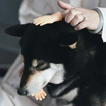 Interactive Pet Massage Gloves for Cats and Dogs