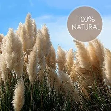 10pcs 40'' inch Pampas Grass for Floor Vase - Tall Pampas Grass Tall - Dried Pampas Grass Decor - Natural Beige Dried Pampas Grass Decor Tall - Pompas Floral Grass - Boho Decor - Dried Flower for Vase