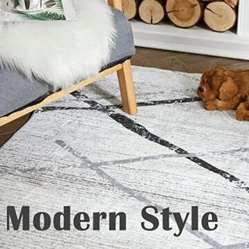 jinchan 4x6 Area Rug, Moroccan Geometric Thin Rug, Non-Slip Soft Accent Carpet for Living Room, Bedr...