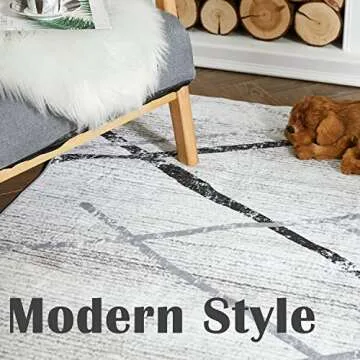 jinchan 4x6 Area Rug, Moroccan Geometric Thin Rug, Non-Slip Soft Accent Carpet for Living Room, Bedr...