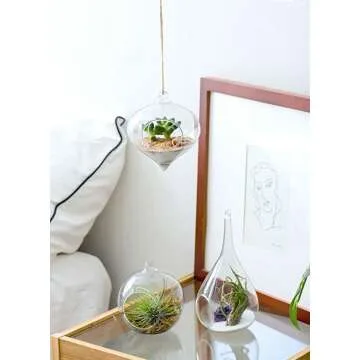 Mkono Terrarium Decoration for Succulents & Tillandsias