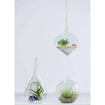 Mkono Terrarium Decoration for Succulents & Tillandsias