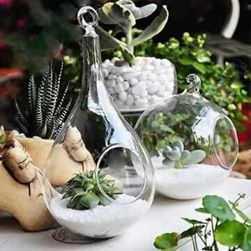 Mkono Terrarium Decoration for Succulents & Tillandsias
