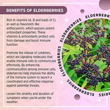 DIY Organic Elderberry Syrup Kit for Immune Boosting