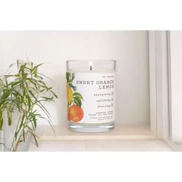 Leoben Company | B.B. Wellness | Hand Poured Soy Wax Candle | 40 Hour Burn | Vegan | Sweet Orange Le...