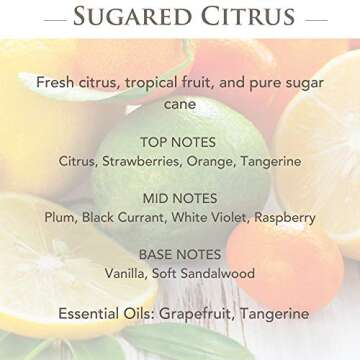 Illumination Fragrance Warmer Gift Set, White Hobnail with Vanilla Cinnamon and Sugared Citrus