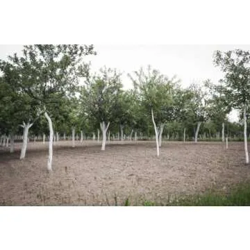 IV Organic 3-in-1 Plant Guard - Organic Plant Protection