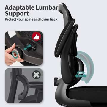 Ergonomic TRALT Office Chair with Lumbar Support