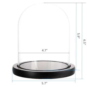 ZOOFOX Set of 2 Glass Dome Cloche with Black Wooden Base, 5.7" x 6.5" Decorative Bell Jar Display Do...
