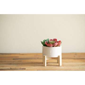 Flora Bunda Mid Century Artificial Plant Artificial Succulent Garden Mix in 4" Ceramic Pot W/Stand Mid Century Planter,White