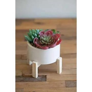 Flora Bunda Mid Century Artificial Plant Artificial Succulent Garden Mix in 4" Ceramic Pot W/Stand Mid Century Planter,White