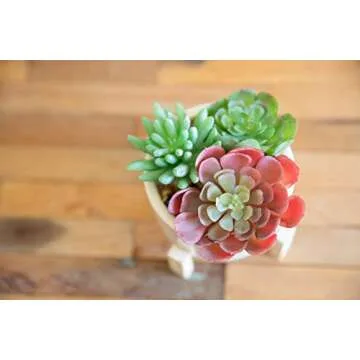 Flora Bunda Mid Century Artificial Plant Artificial Succulent Garden Mix in 4" Ceramic Pot W/Stand Mid Century Planter,White