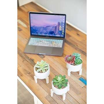 Flora Bunda Mid Century Artificial Plant Artificial Succulent Garden Mix in 4" Ceramic Pot W/Stand Mid Century Planter,White