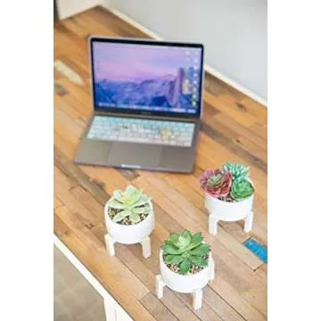 Flora Bunda Mid Century Artificial Plant Artificial Succulent Garden Mix in 4" Ceramic Pot W/Stand Mid Century Planter,White