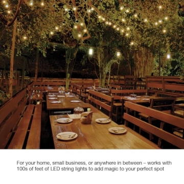 Lutron Caseta Outdoor Smart Plug for Garden Lighting