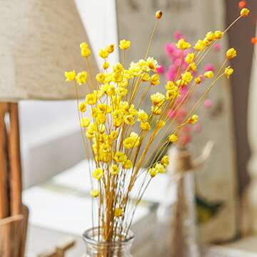 MLSG 100 Stems Natural Dry Flowers Brazilian Small Star Daisy Decorative Dried Flowers Mini Daisy Ch...