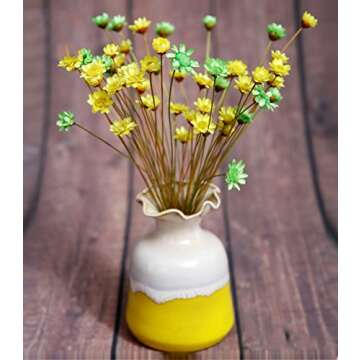 MLSG 100 Stems Natural Dry Flowers Brazilian Small Star Daisy Decorative Dried Flowers Mini Daisy Chamomile Bouquet for Wedding Floral Arrangements Home Decorations Valentine's Gifts (Autumn Color)