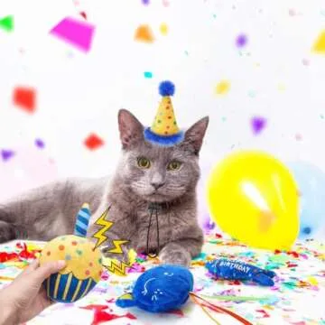 BINGPET Cat Birthday Set: Fun Catnip Toys for Kitties