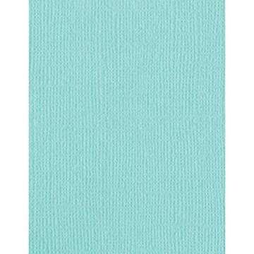 Bazzill 25 Sheets Mono Aruba Cardstock, Premium 8.5x11 Paper