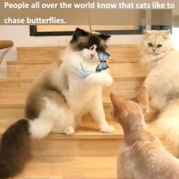 OODOSI Cat Wand Toy, Interactive Cat Toys with 2 Poles & 9 Attachments Worm Feathers, Cat Feather Toy for Kitten Cat for Indoor Cats