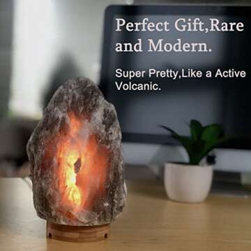MAYMII·HOME Rare Large (8-13lbs) Natural Grey Gray Balck Himalayan Crystal Salt Table Lamp, Hymilia...