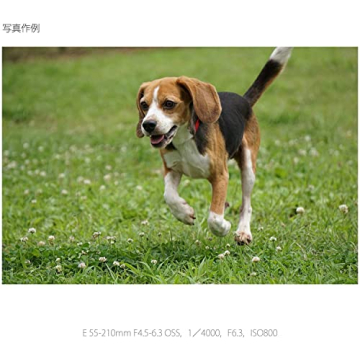 SONY E 55-210mm Lens for Sony E-Mount Cameras