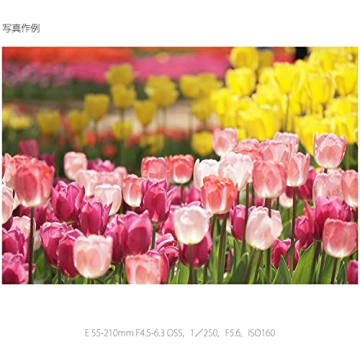 SONY E 55-210mm Lens for Sony E-Mount Cameras