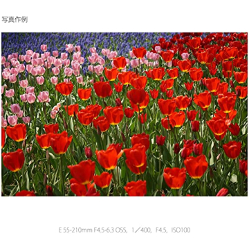 SONY E 55-210mm Lens for Sony E-Mount Cameras