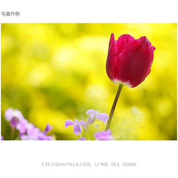 SONY E 55-210mm Lens for Sony E-Mount Cameras