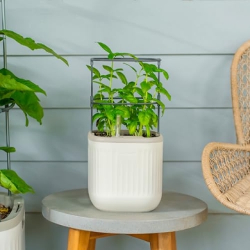 Vego Garden Mini Planter: Self-Watering Indoor Pots with Trellis for Herbs and Vegetables