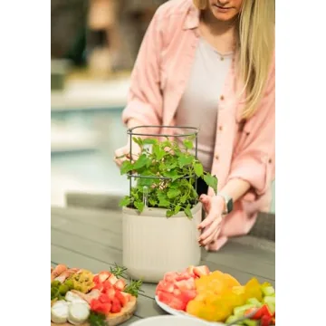 Vego Garden Mini Planter: Indoor Self-Watering Herb Pots