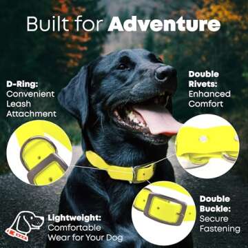 Regal Dog Products Small Yellow Dog Collar with Heavy Duty Double Buckle & D Ring | Vinyl Coated, Cu...