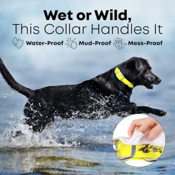 Durable Waterproof Dog Collar for All Sizes - Regal Products
