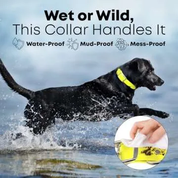 Durable Waterproof Dog Collar for All Sizes - Regal Products