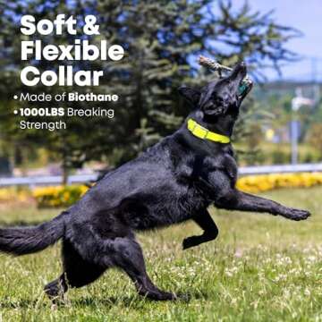 Durable Waterproof Dog Collar for All Sizes - Regal Products