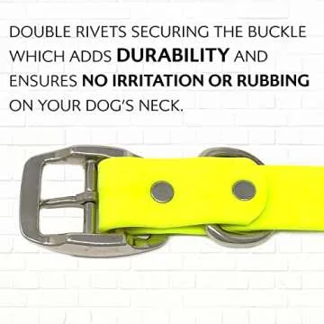 Durable Waterproof Dog Collar for All Sizes - Regal Products