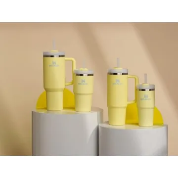 Stanley Quencher H2.0 Tumbler | Insulated & BPA-Free