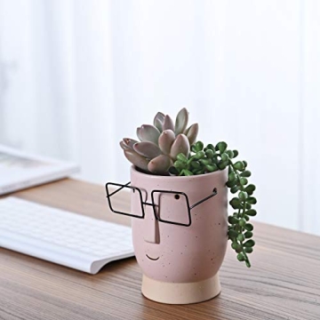 Royal_Z Face Planter - Cute Cartoon Design for Gifts